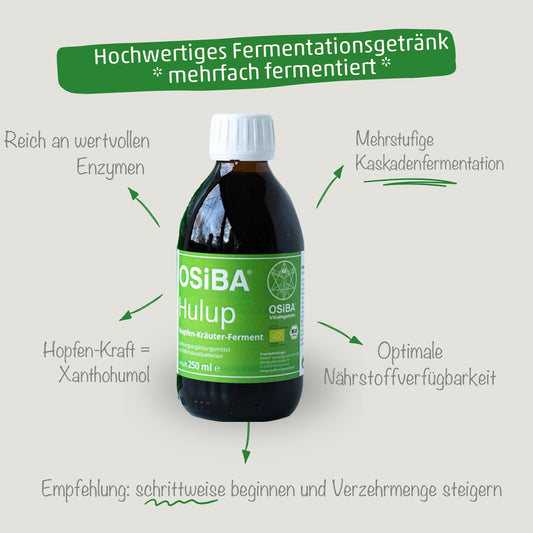OSiBA Hulup – Ferment d'herbes de houblon biologique avec micro-organismes efficaces EM®