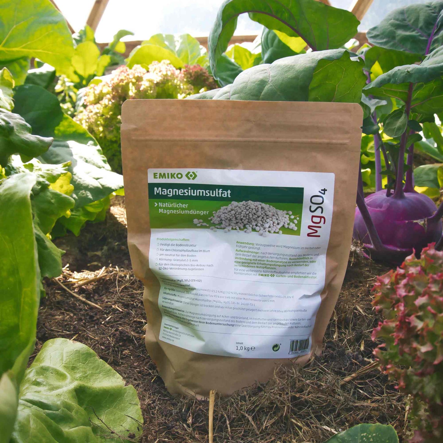 EMIKO Magnesiumsulfat - 1 kg - PROBIOSA