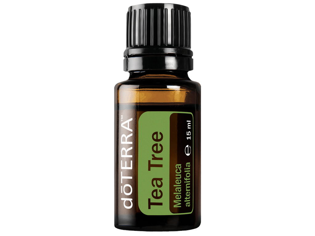 Tea Tree (Teebaum) - 5 oder 15 ml - PROBIOSA
