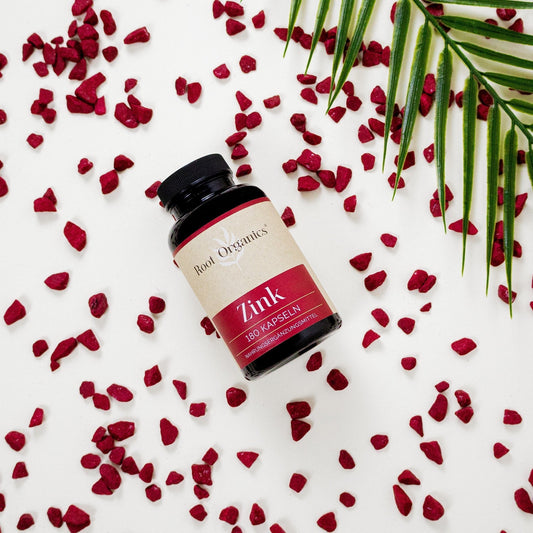 Zink Kapseln - PROBIOSA