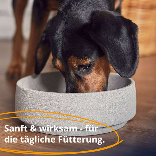 EMIKO PetCare BIO-Ergänzungsfuttermittel flüssig