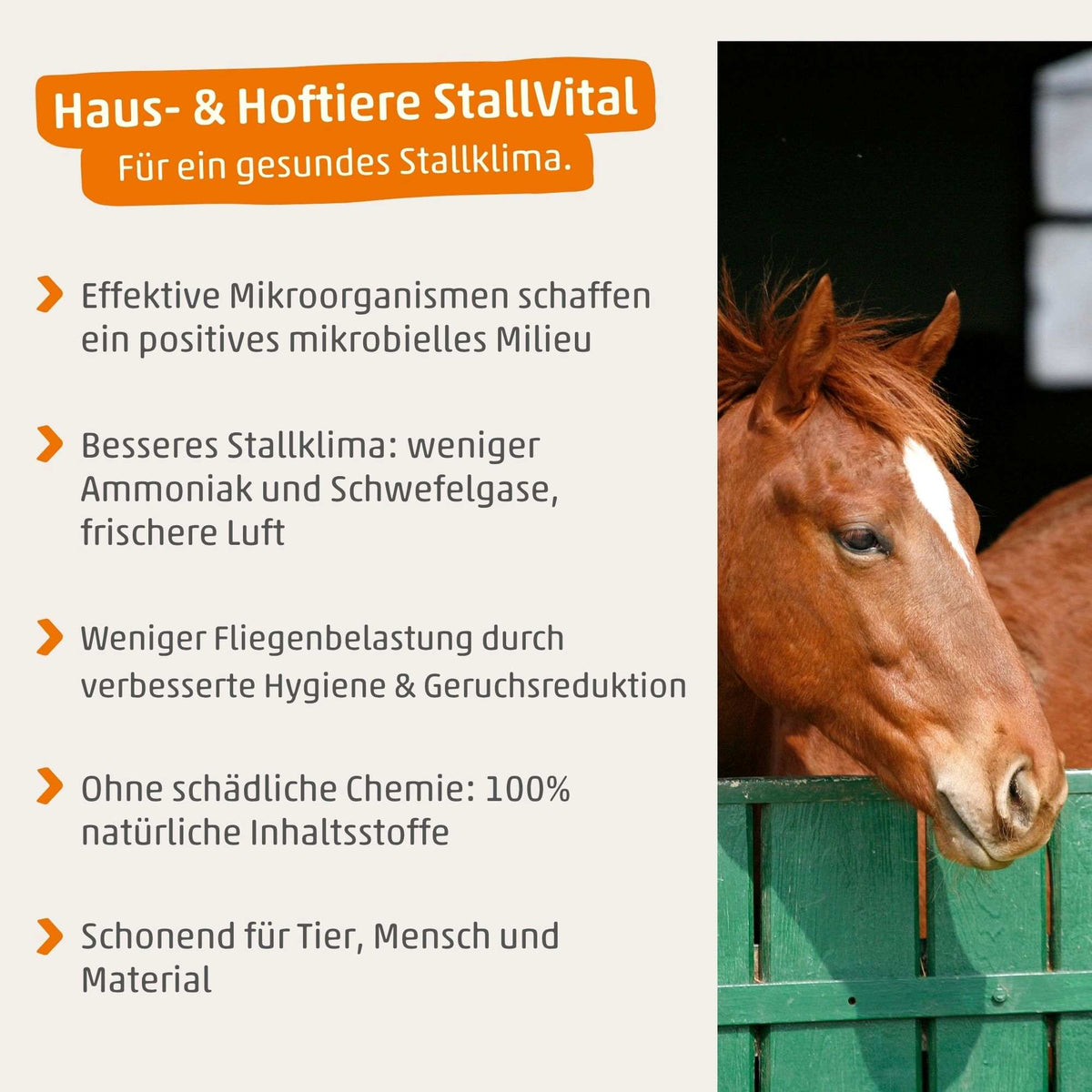 EMIKO Haus- & Hoftiere StallVital