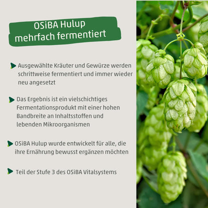 OSiBA Hulup – Ferment d'herbes de houblon biologique avec micro-organismes efficaces EM®