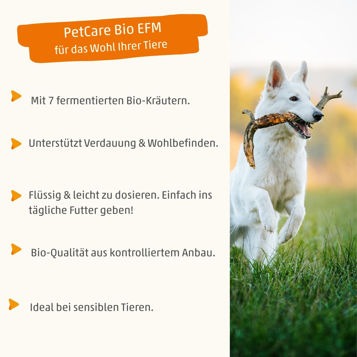 EMIKO PetCare liquid supplementary feed