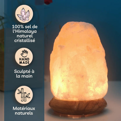 Himalayan Salt Lamp with USB Port and LED Lighting