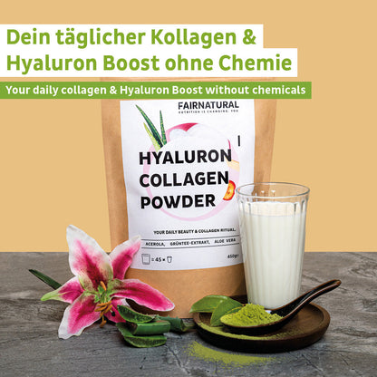 Kollagen-hyaluron-pulver