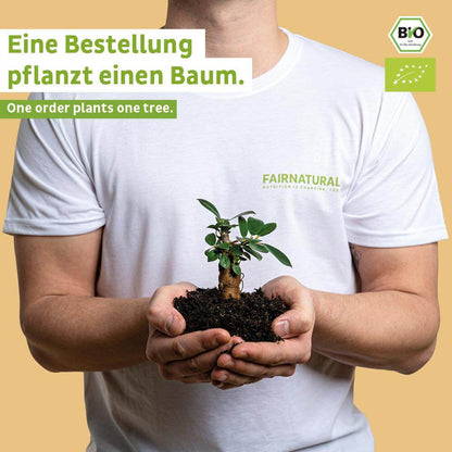 Bio Proteinriegel Vegan Schoko ohne Soja
