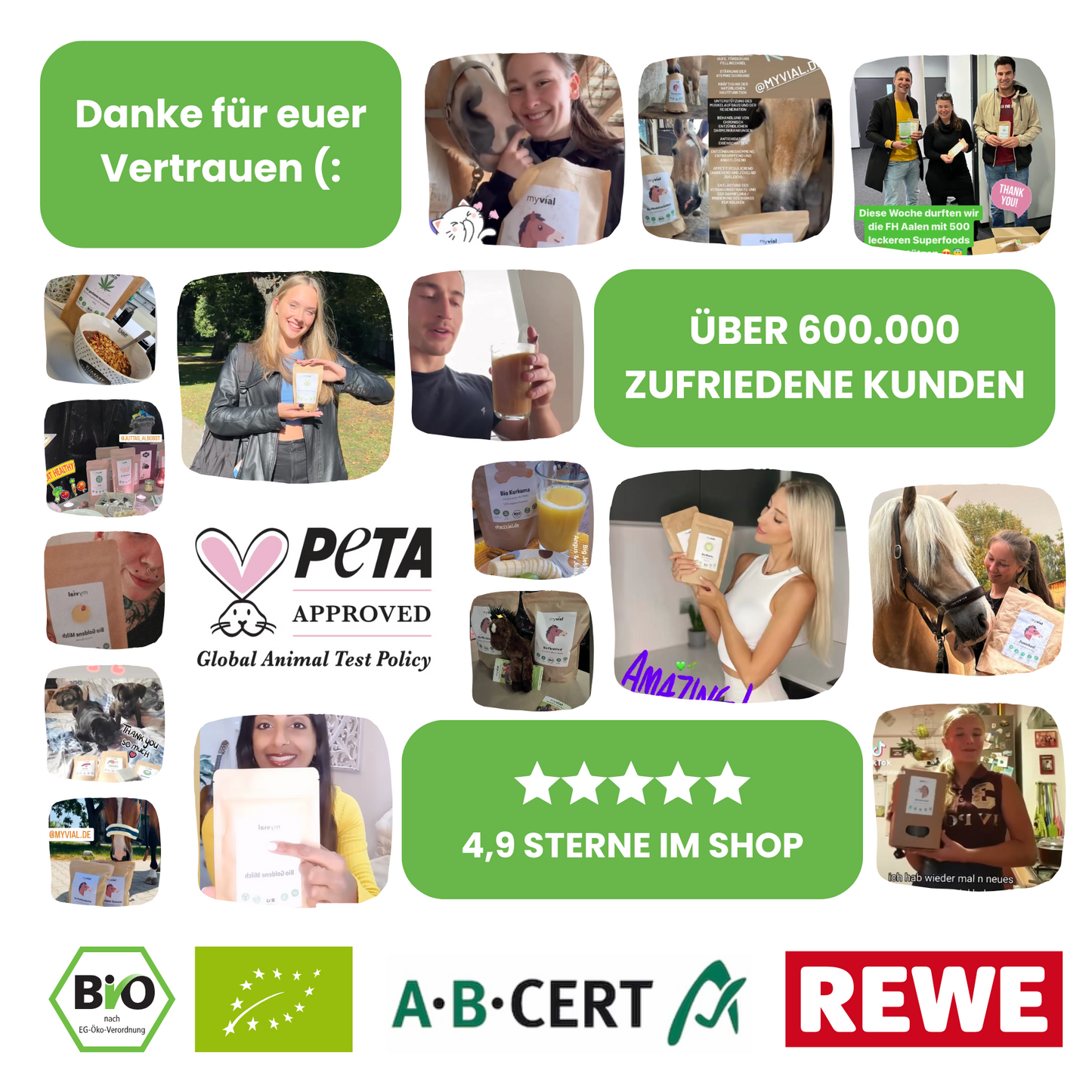 Bio Chlorella Pulver