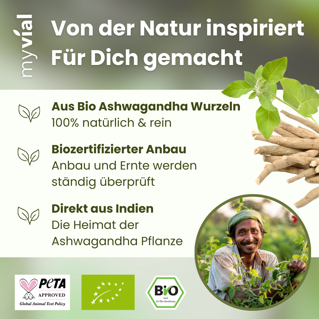 Capsules d'Ashwagandha biologique
