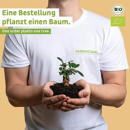 Bio Veganes Proteinpulver Banane ohne Soja - PROBIOSA