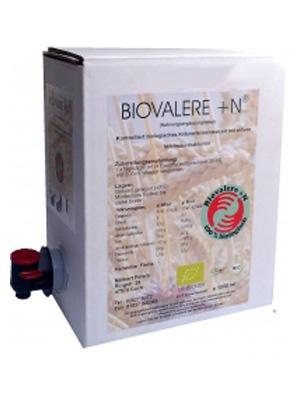 Biovalere +N Fermentgetränk - PROBIOSA