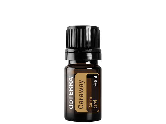 Caraway (Kümmel) - 5 oder 15 ml - PROBIOSA