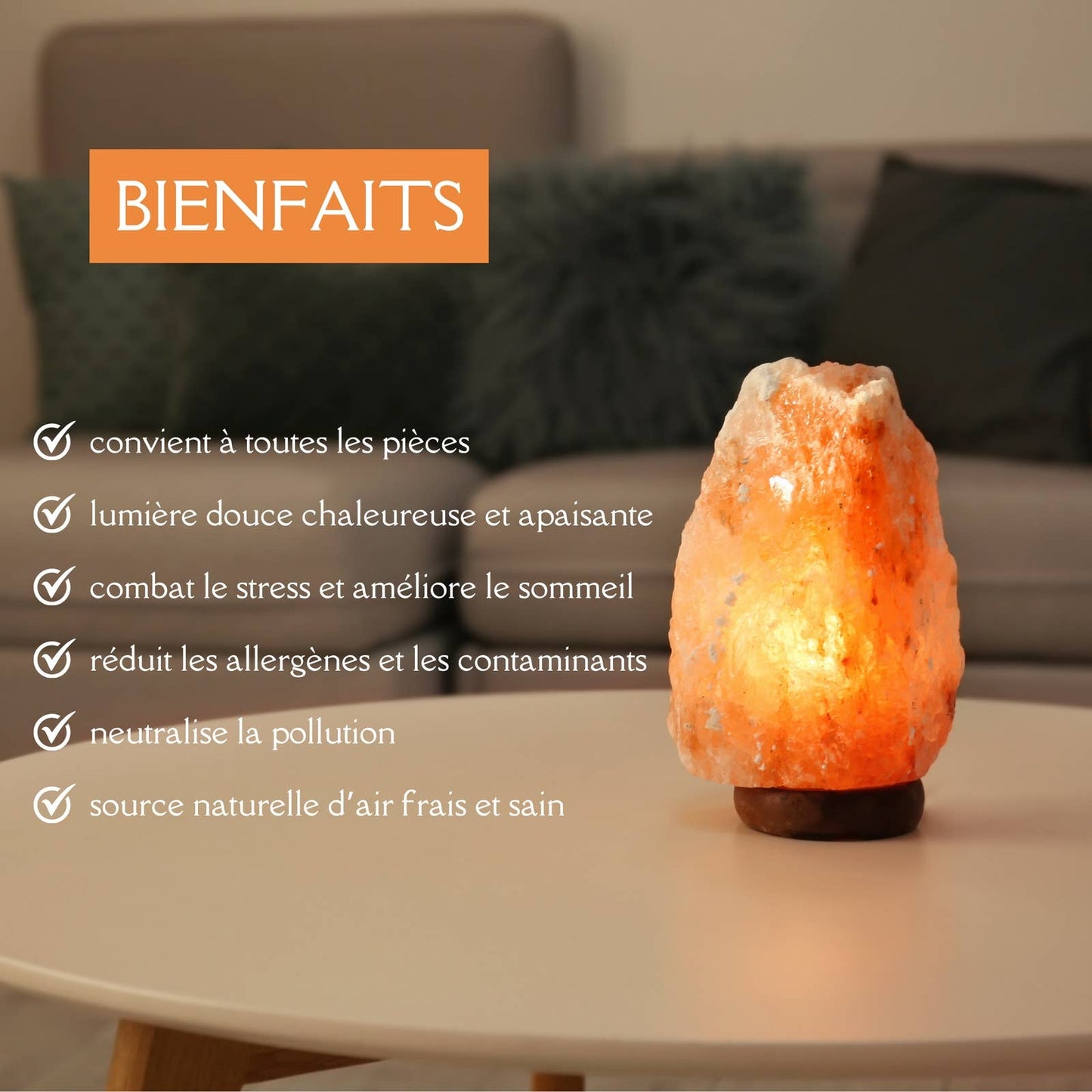 Himalayan Salt Lamp Rough Form 2 to 3 kg