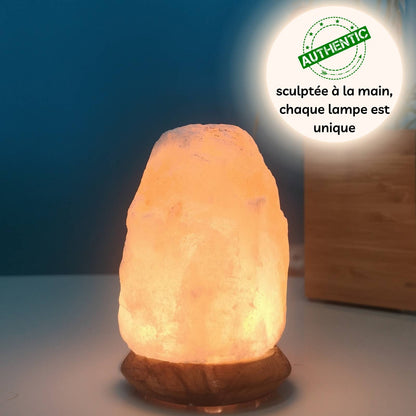Himalayan Salt Lamp with USB Port and LED Lighting