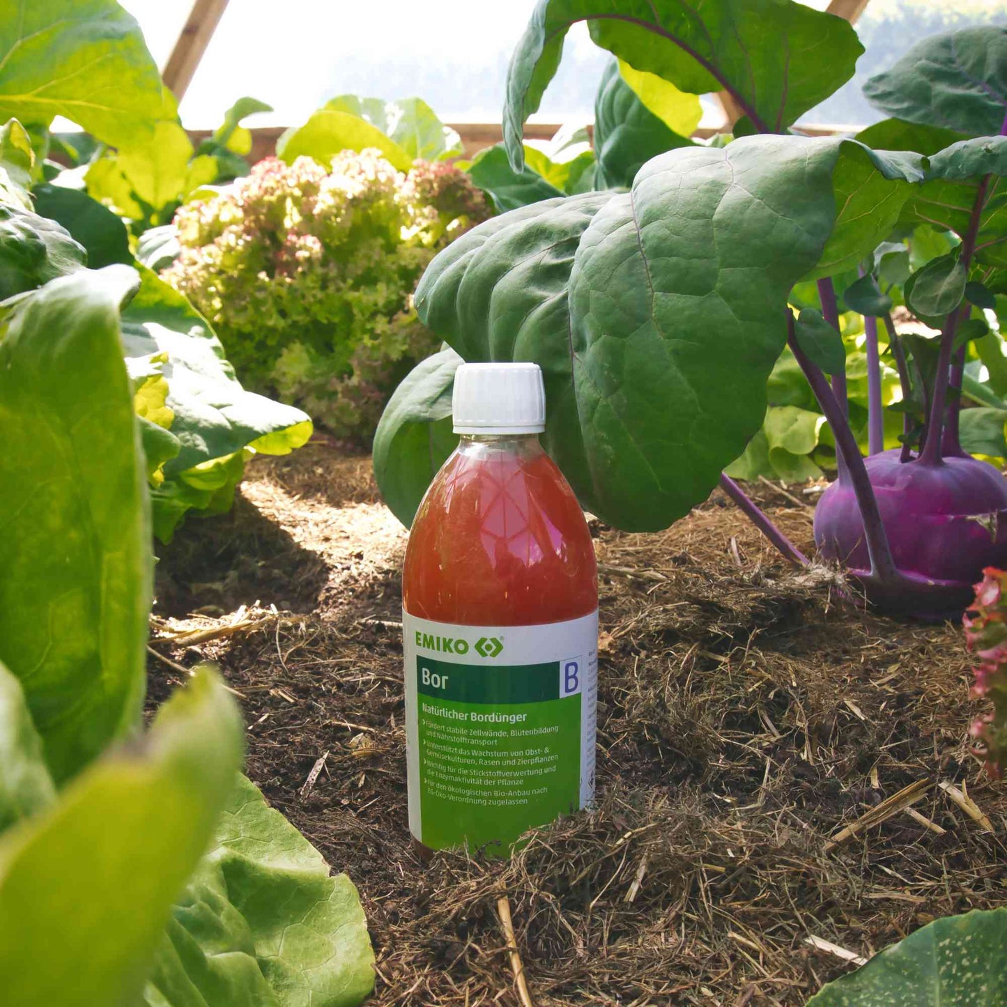 EMIKO Bor Flüssigdünger - 0,5 Liter - PROBIOSA