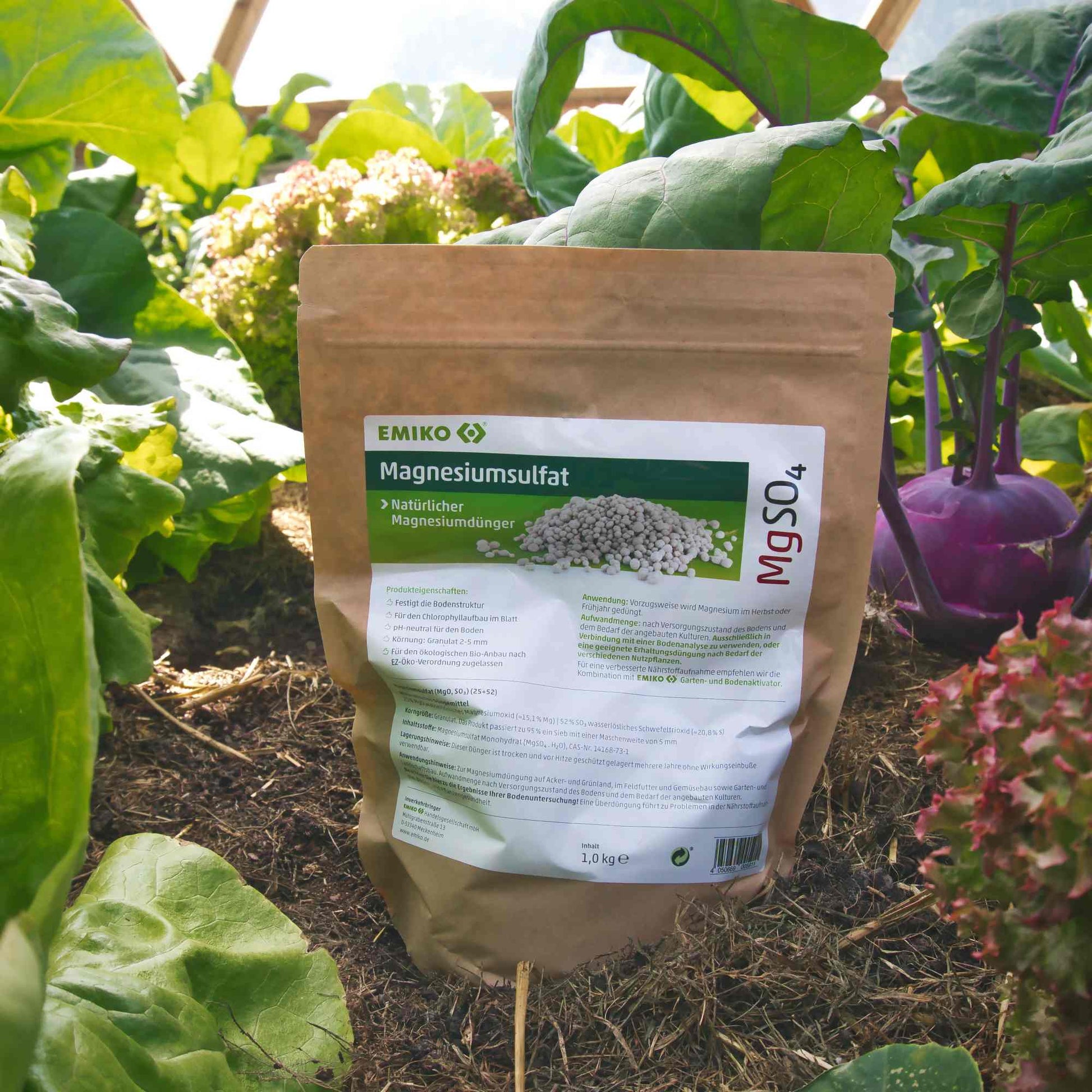 EMIKO Magnesiumsulfat - 1 kg - PROBIOSA
