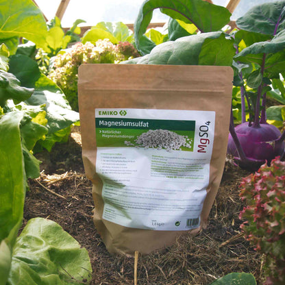 EMIKO Magnesiumsulfat - 1 kg - PROBIOSA