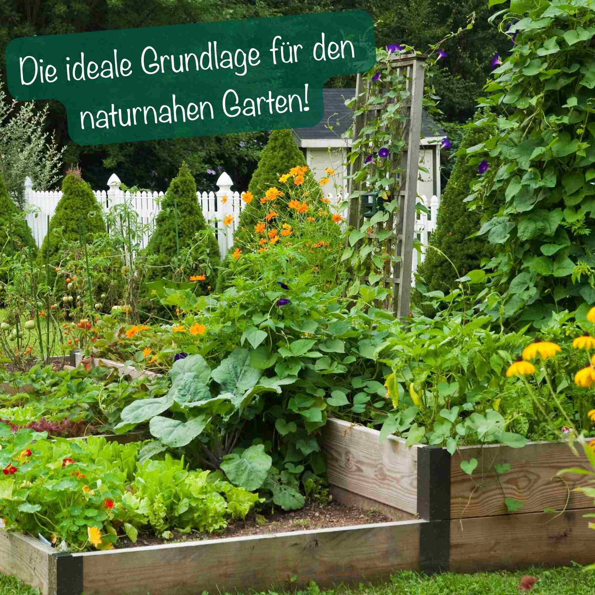 EMIKO MikroDünger - PROBIOSA