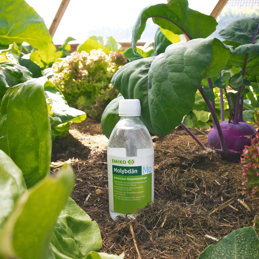 EMIKO Molybdän Flüssigdünger - 0,5 Liter - PROBIOSA