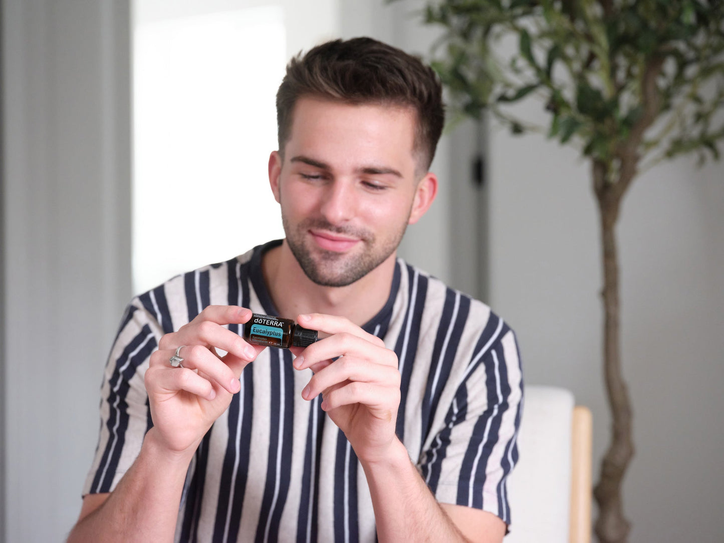 Eucalyptus (Eukalyptus) von dōTERRA - 15 ml - PROBIOSA