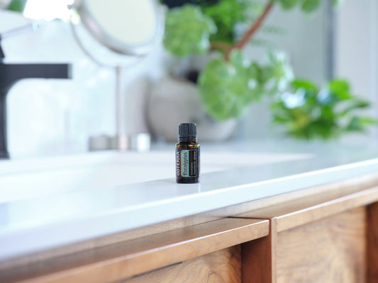 Eucalyptus (Eukalyptus) von dōTERRA - 15 ml - PROBIOSA