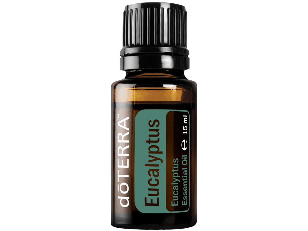 Eucalyptus (Eukalyptus) von dōTERRA - 15 ml - PROBIOSA