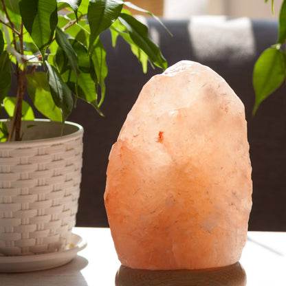 Himalayan Salt Lamp with USB Port and LED Lighting
