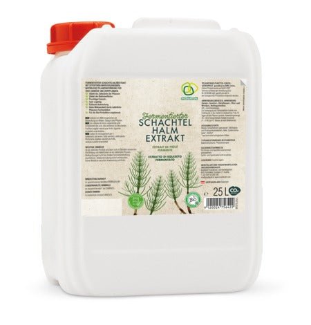 Fermentierter Schachtelhalm Extrakt - PROBIOSA