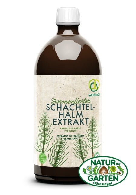 Fermentierter Schachtelhalm Extrakt - PROBIOSA