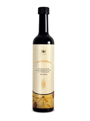 ProTop Antioxidans – Topinambur Ferment - PROBIOSA