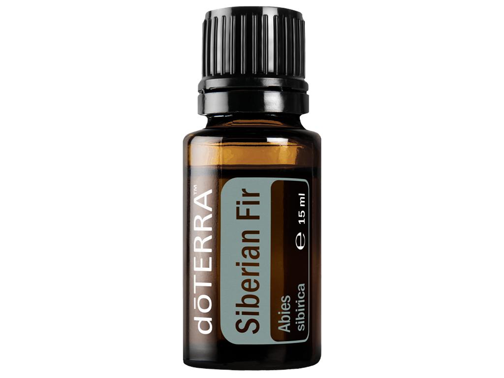 siberian fir sibirische tanne doterra