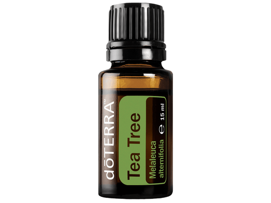 Tea Tree (Teebaum) - 5 oder 15 ml - PROBIOSA
