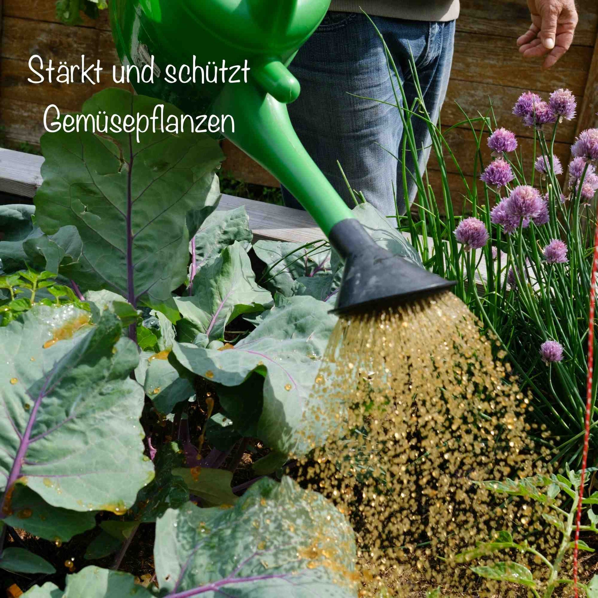 Tomaten - & Gemüse Dünger – Organisch mit Effektiven Mikroorganismen (EM) - PROBIOSA