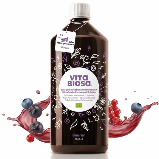 Vita Biosa Berry – Boisson biologique fermentée aux baies et aux herbes