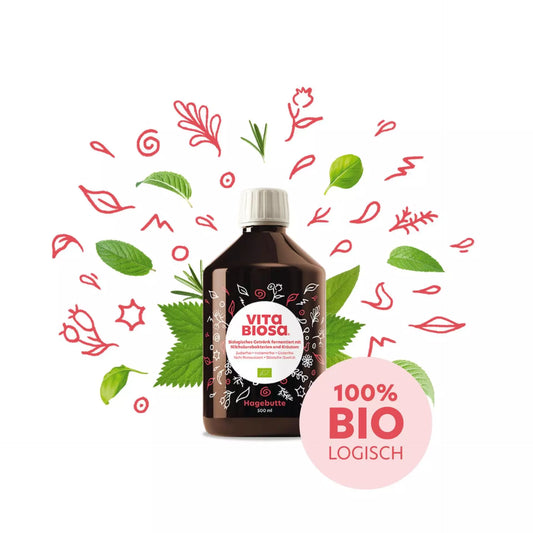 Vita Biosa Rose Musquée – Boisson fermentée aux herbes biologiques