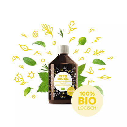 Vita Biosa Ingwer + Vitamin C - Bio-Kräuterfermentgetränk