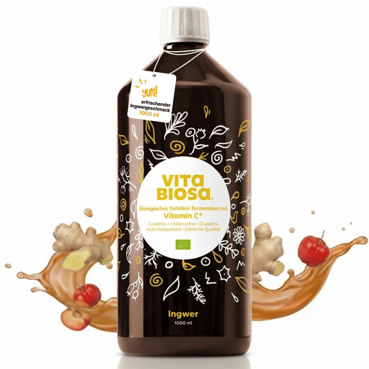 Vita Biosa Ingwer + Vitamin C - Bio-Kräuterfermentgetränk