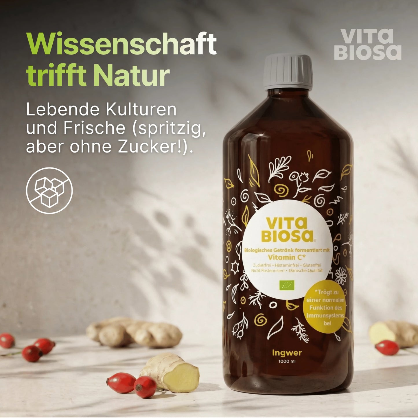 Vita Biosa Ingwer + Vitamin C - Bio-Kräuterfermentgetränk