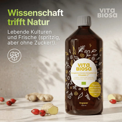 Vita Biosa Ingwer + Vitamin C - Bio-Kräuterfermentgetränk
