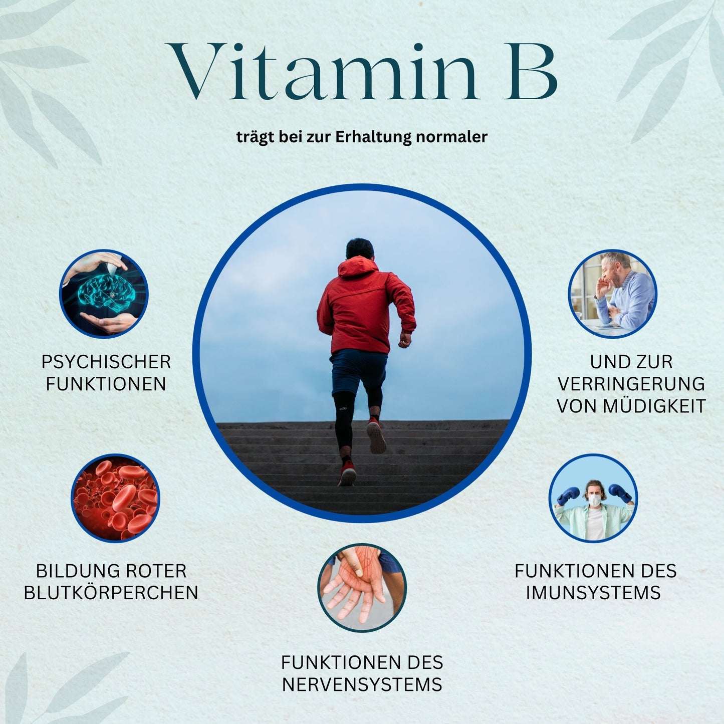 Vitamin - B Komplex - PROBIOSA